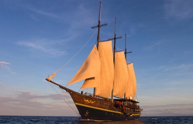 Après le WAOW, la construction d’un WAOW 2 ?