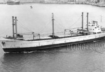 Chaque jour, une épave : 2 février 1984, l’Apollonia à Alger