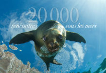 20 000 rencontres sous les mers