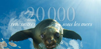 20 000 rencontres sous les mers