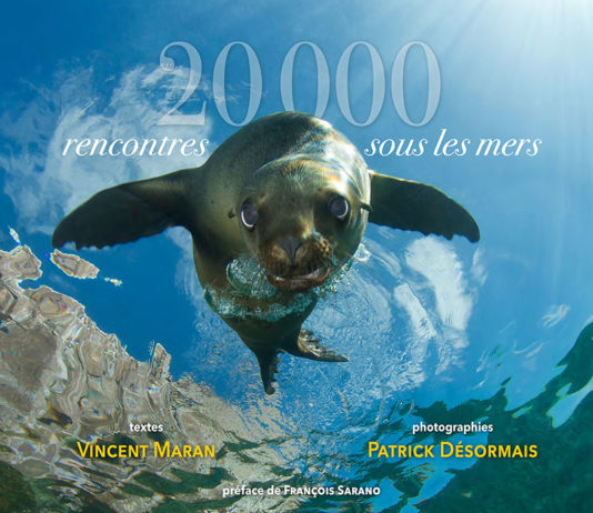 20 000 rencontres sous les mers