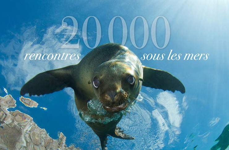 20 000 rencontres sous les mers