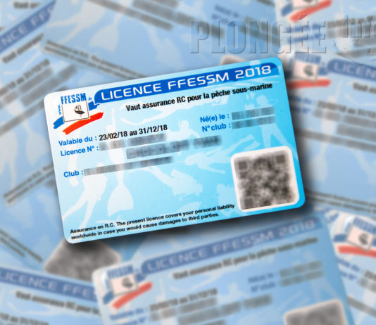 La FFESSM lance la licence à 1 € pour les niveaux 1