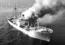 Chaque jour, une épave : 15 mars 1983, le Niagara, contrebandier bombardé en Corse