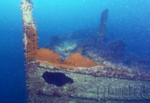 Chaque jour, une épave : 13 avril 1919, le Fetlar à Saint-Malo