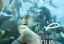 Un regard sous la mer, expo photo et ateliers éducatifs à Argelès-sur-Mer