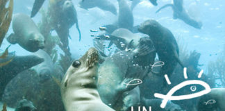 Un regard sous la mer, expo photo et ateliers éducatifs à Argelès-sur-Mer