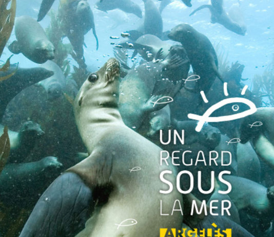 Un regard sous la mer, expo photo et ateliers éducatifs à Argelès-sur-Mer