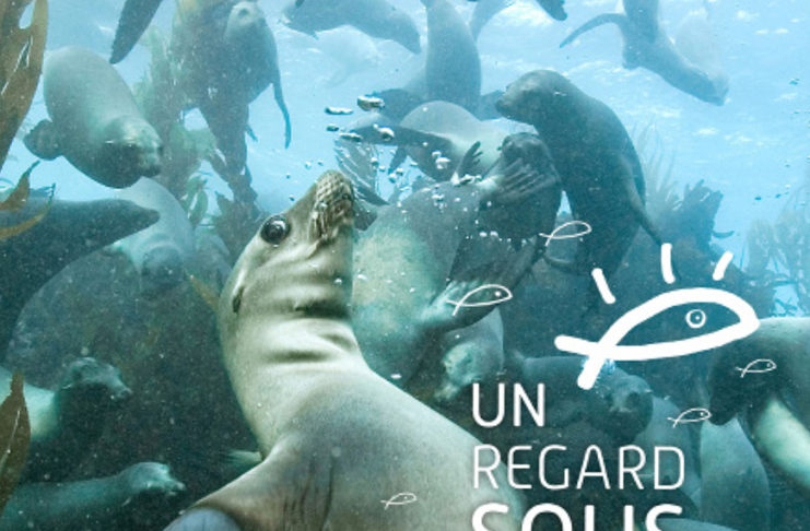 Un regard sous la mer, expo photo et ateliers éducatifs à Argelès-sur-Mer