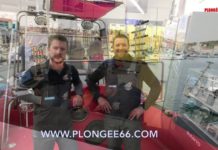 Festival International de plongée sous-marine de Port-Vendres, Demandez le programme !