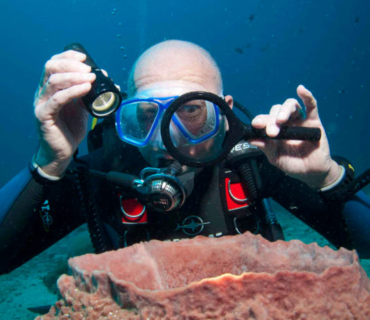 L’Enquête sous-marine d’Objectif Atlantide à Cabilao vient de commencer