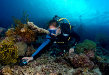 L’enquête sous-marine Objectif Atlantide est bouclée !