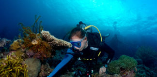 L’enquête sous-marine Objectif Atlantide est bouclée !