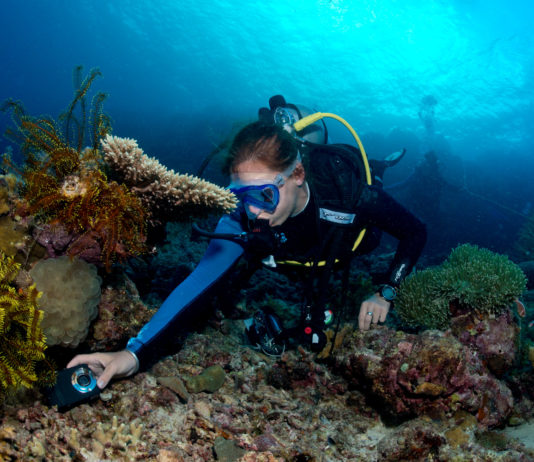 L’enquête sous-marine Objectif Atlantide est bouclée !