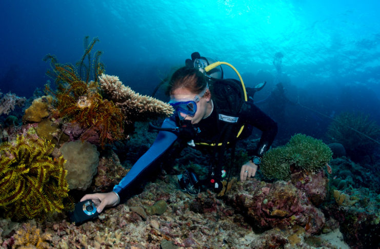 L’enquête sous-marine Objectif Atlantide est bouclée !