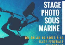 Des stages d’été à Hendaye, photo et découverte…