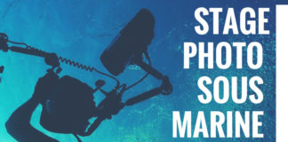 Des stages d’été à Hendaye, photo et découverte…