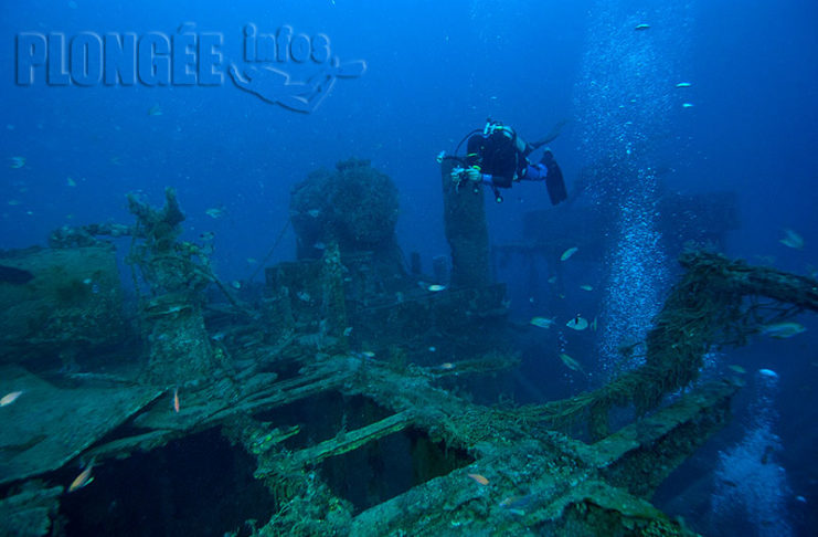 Chaque jour, une épave : 2 juin 1944, l’Alice Robert, dit le “Bananier” à Port-Vendres