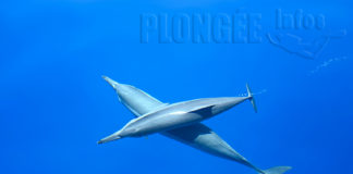 Portfolio : Cyril Hervieu, le talent dans le viseur