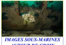 Festival Images sous-marines et musique traditionnelle à Groix (56)