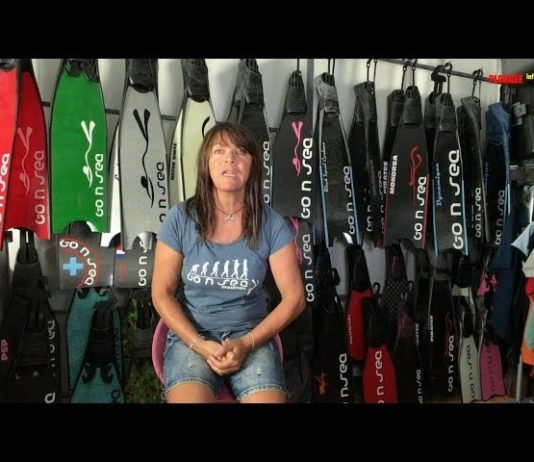 Go n Sea, des palmes innovantes