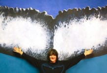 Les “Rendez-vous avec la Baleine”, par Malvina