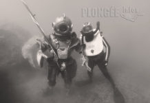 Plongée Rétro, une belle première édition