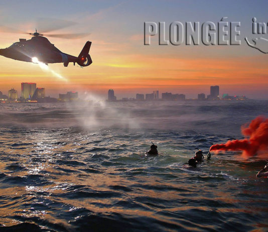 Plongeurs à la dérive : comment survivre ?