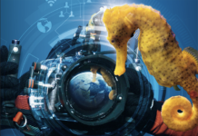 Le Grand Bleu et les Hippocampes arrivent à Paris