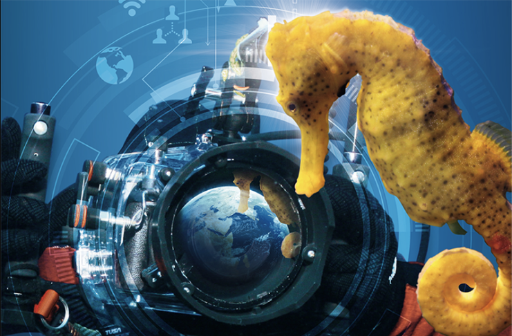 Le Grand Bleu et les Hippocampes arrivent à Paris