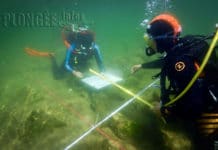 Moi, Stéphanie, archéologue par accident…