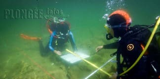 Moi, Stéphanie, archéologue par accident…