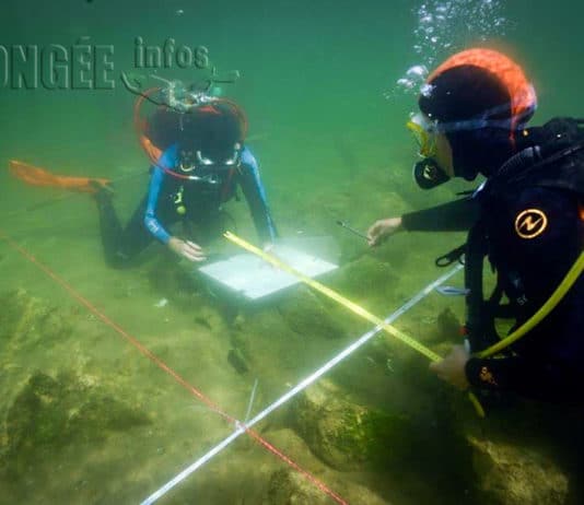 Moi, Stéphanie, archéologue par accident…