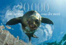Livre “20 000 rencontres sous les mers” : les bénéfices vont aux associations environnementales