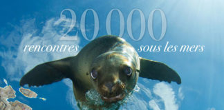 Livre “20 000 rencontres sous les mers” : les bénéfices vont aux associations environnementales