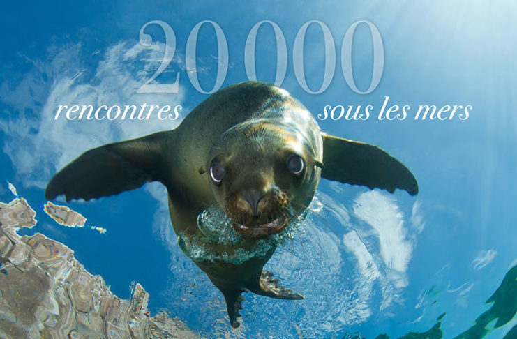 Livre “20 000 rencontres sous les mers” : les bénéfices vont aux associations environnementales