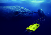 Gladius Mini, le nouveau drone sous-marin