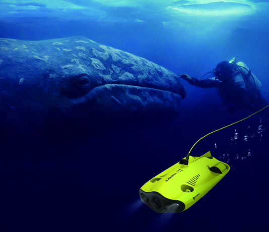 Gladius Mini, le nouveau drone sous-marin