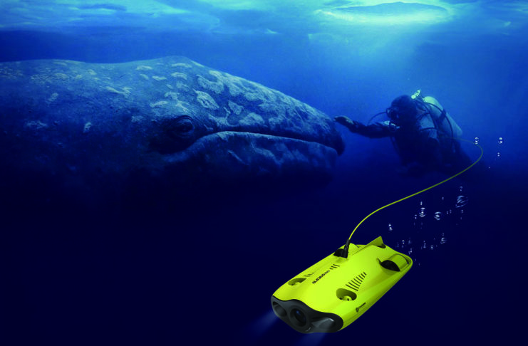 Gladius Mini, le nouveau drone sous-marin