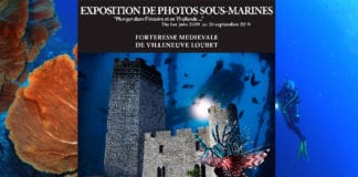 Tout l’été, une expo de photos sous-marines à la forteresse médiévale de Villeneuve Loubet (06)