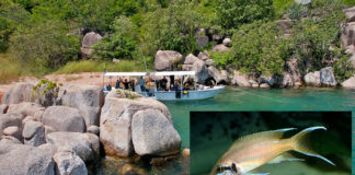 Participez à une mission d’étude des poissons du lac Tanganyika !