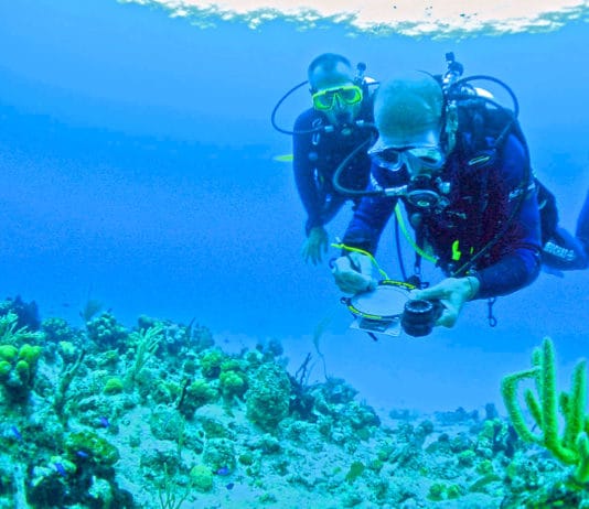 S’orienter en plongée