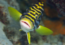 Photographes, exposez vos photos ! Les conseils d’un photographe pro