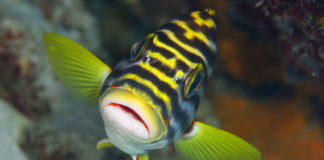 Photographes, exposez vos photos ! Les conseils d’un photographe pro