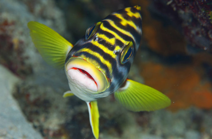 Photographes, exposez vos photos ! Les conseils d’un photographe pro