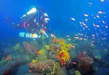 Des amphores à découvrir en Méditerranée