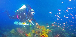 Des amphores à découvrir en Méditerranée