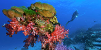 Les îles de la mer d’Andaman en toute liberté