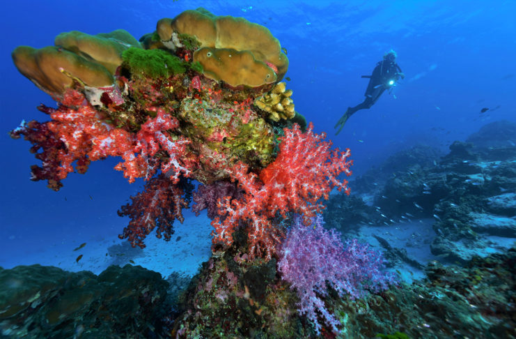 Les îles de la mer d’Andaman en toute liberté
