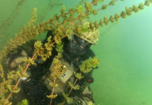 Les plongeurs de combat du 1er REG à l’entraînement